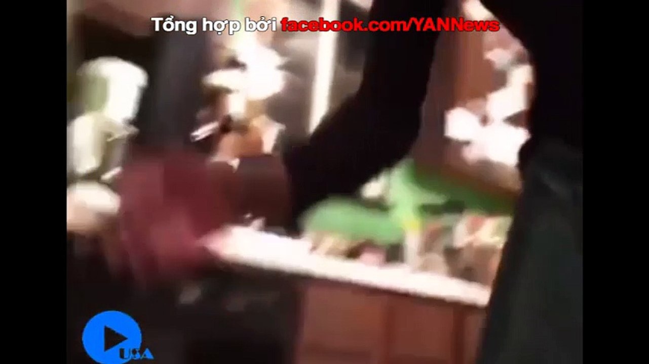 Vì sao người yêu k có mà chó nhất định phải nuôi