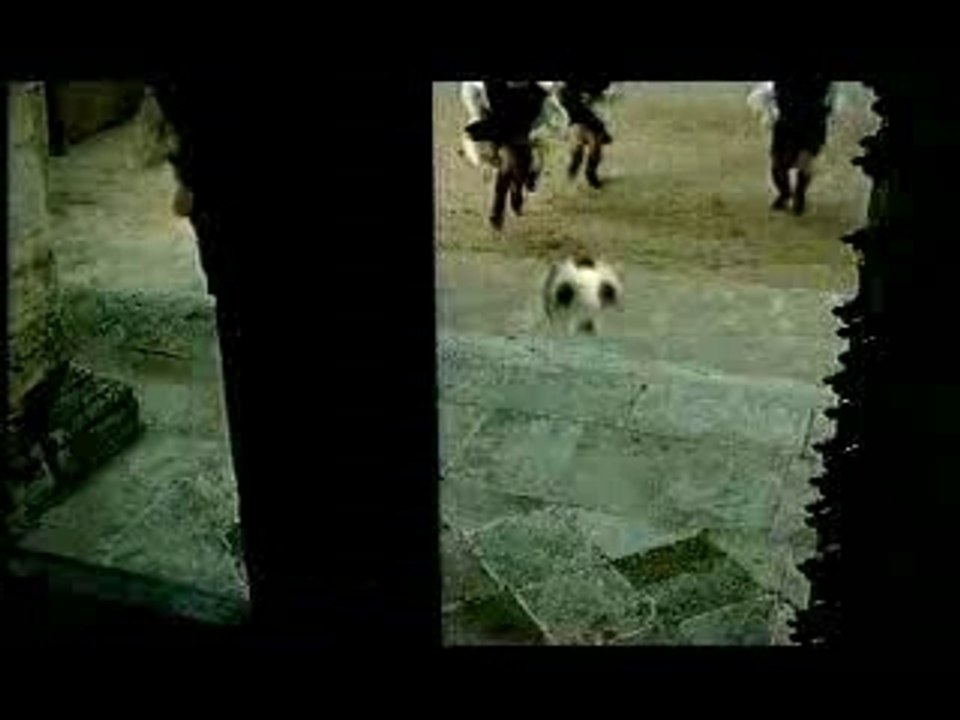 Pub - biere - amstel - le foot et les moines