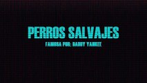 Perros Salvajes - Karaoke (Daddy Yankee)