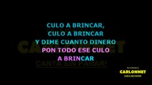 Privado - Rvssian ft. Nicky Jam, Farruko, Arcangel, Konshens (Karaoke)