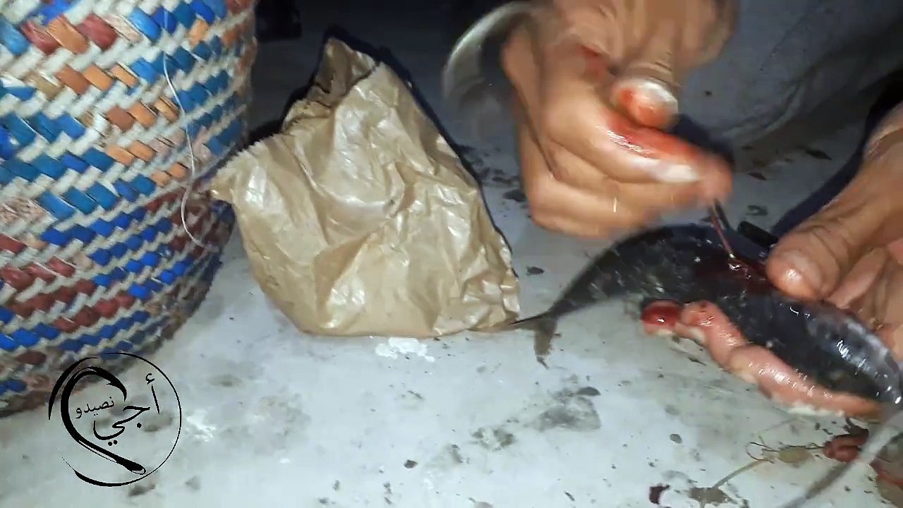 Δόλωμα για ψάρεμα