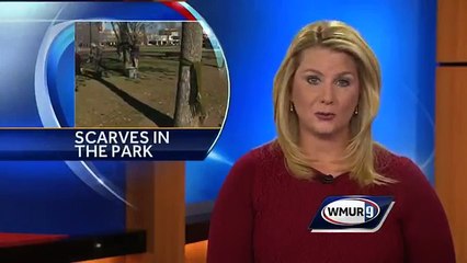 Free scarves tied to trees in Manchester park
