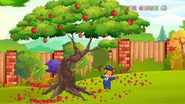 Paw Patrol Full Ep. | Chase & Skye The Law of Attraction | Pups Save Cartoon Movies For Kids