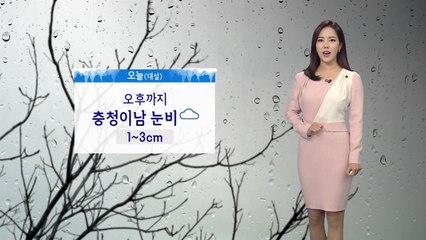 [날씨] 오늘(대설) 오후까지 충청·남부 눈비, 밤부터 찬 바람 / YTN