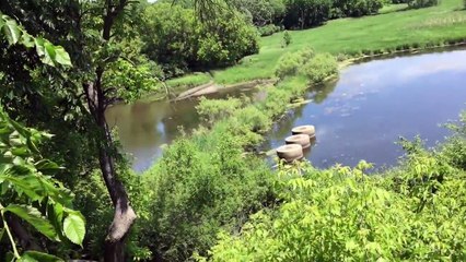 Organik vlog: Banned from the GUN RANGE❌❌❌