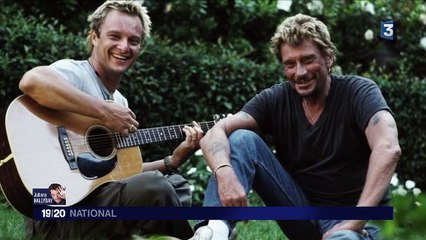 Johnny Hallyday : chanteur et père de famille