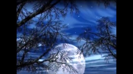 شعر از شفیعی کدکنی سروده از ناظری