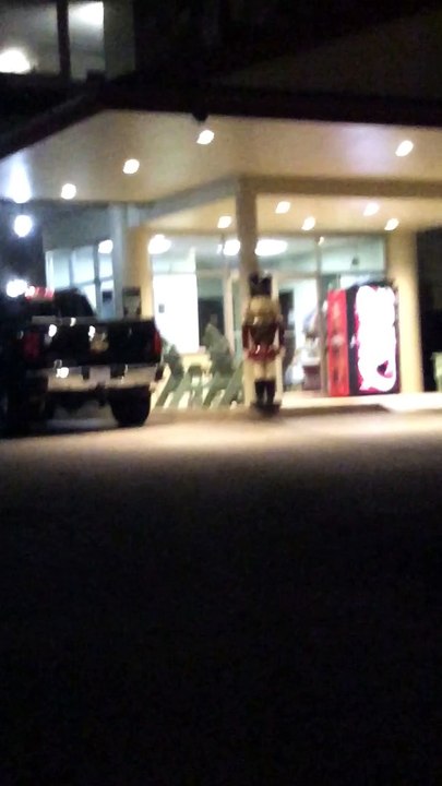 Black Bear Sighted at a Hotel