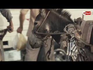 الكينج "محمد منير" يبدأ أول الاغاني فى مسلسله "المغني" بأغنية " لولا الحكومة " .... الحلقة 1