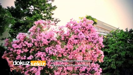 Papyon - Gözyaşlarım Anlatır (Official Video)