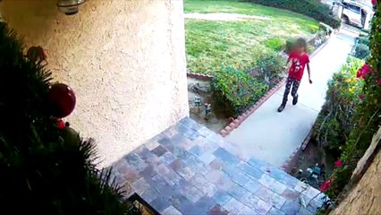 Kid Steals Package from Front Porch