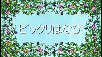 しまじろう~はっけん たいけん だいすき！「ビックリはなび」