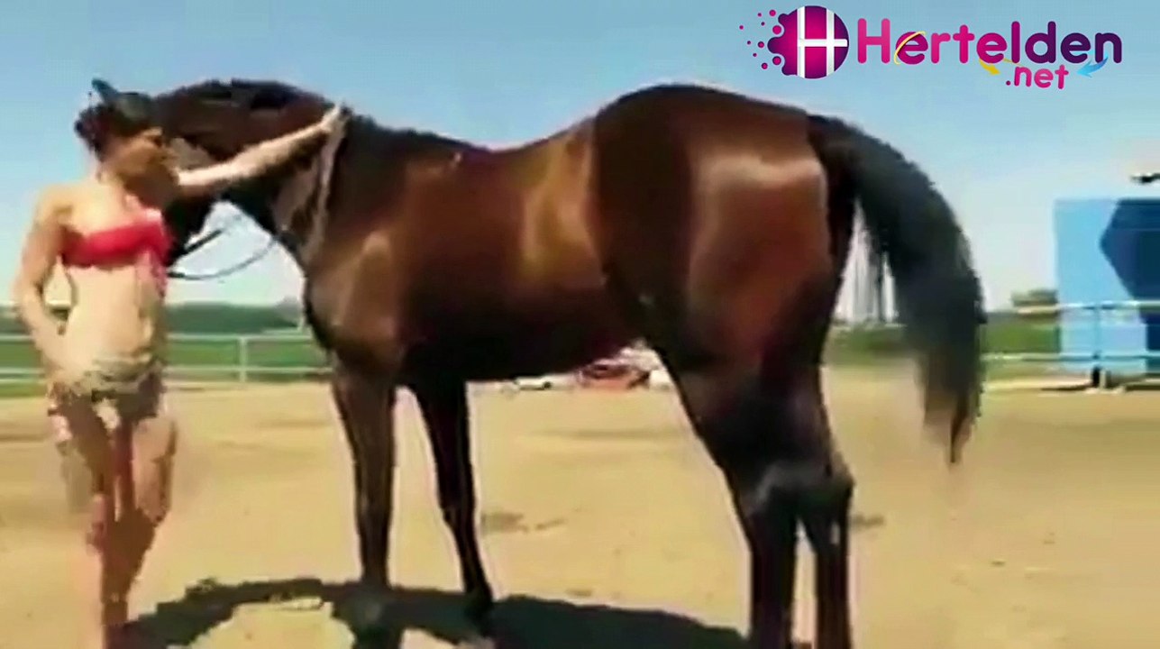 Kız ata binemeyince at yardım ediyor