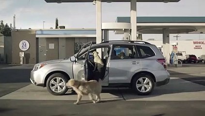 Subaru: Road Trip