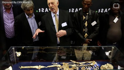 Mankind's Oldest Known Ancestor Is On Display
