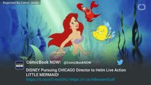 Live Action 'Little Mermaid' Helmed By 'Chicago' Director?