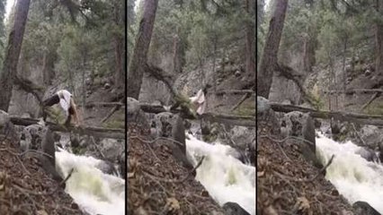 Woman Attempts Yoga Pose On A Log Over A River