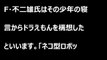 ドラえもん都市伝説タレントという放送記録の無い謎の回