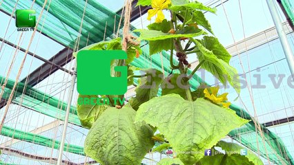 Profitable Agriculture_Change Of face Of Farmers In Last One Or Two Decades