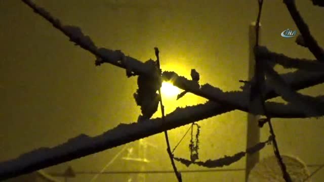 22 Köy ve 17 Mezra Yolu Kar Yağışı Nedeniyle Ulaşıma Kapandı