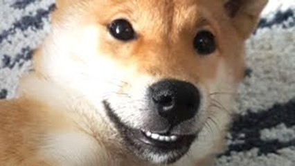 SQUEEZIE-LE VRAI VISAGE DE NATSU