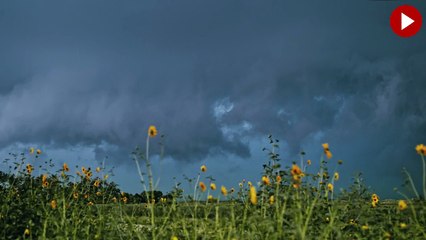 Gökyüzü görüntülerini sanata dönüştürdü