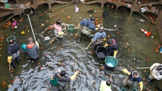 They Drained This Canal For The First Time In Decades, And What They Discovered Is Truly B