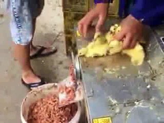 NAM MÔ A DI ĐÀ PHẬT…………. TỘI NGHIỆP QUÁ