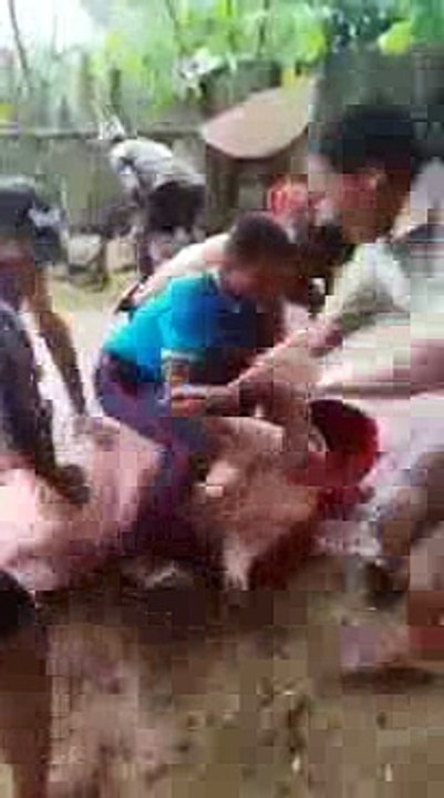 TỘI NGHIỆP  QUÁ   XIN HÃY ĂN CHAY  VÀ ĐỪNG SÁT SANH NỮA  NAM MÔ A DI ĐÀ PHẬT