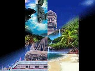 GIEO NHÂN GẶT QUẢ