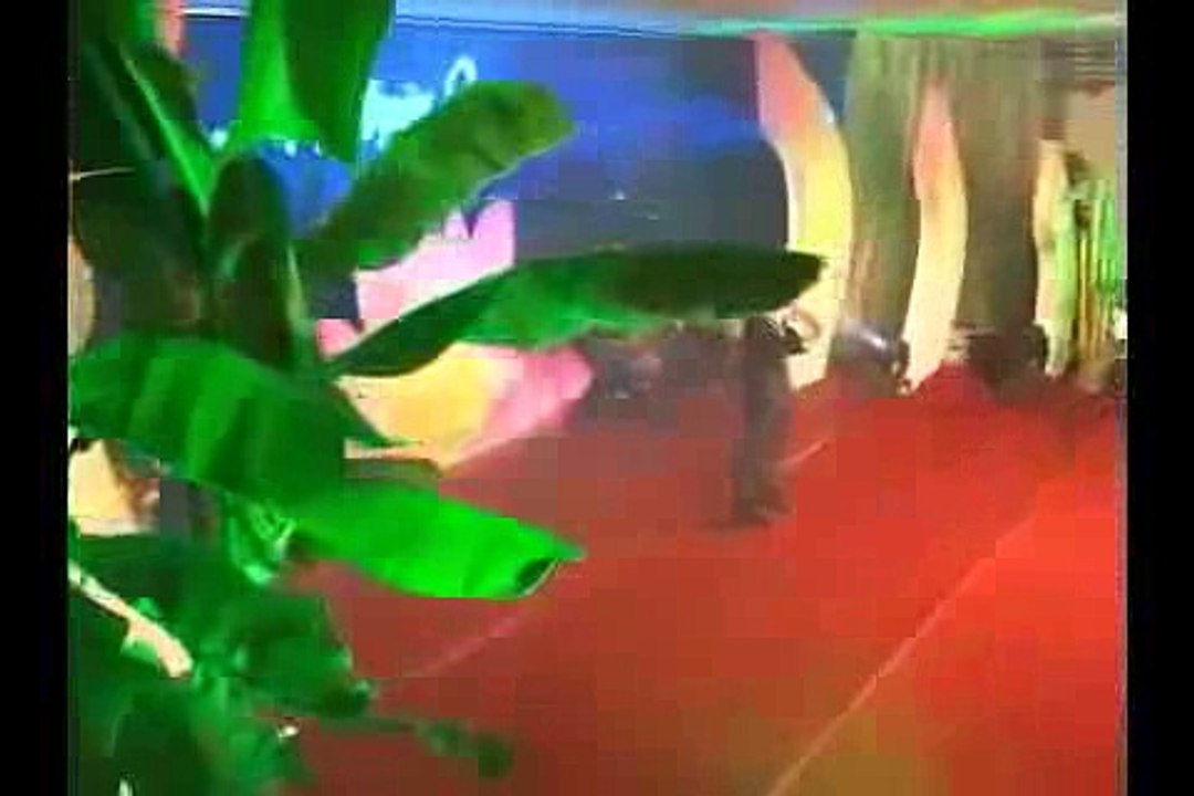 XIN ĐỪNG SÁT SINH  TRIỆU LỘC TRÌNH BÀY
