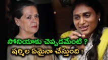 YS Jaganmohan Reddy Talks About Sonia Gandhi | Oneindia Telugu