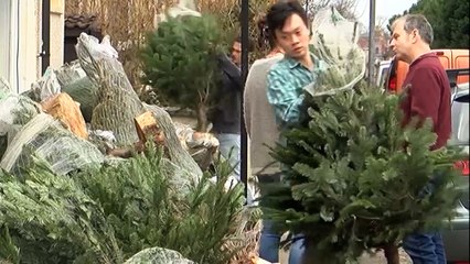 Made TV News - Bristol - 6th December