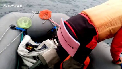 Volunteers enjoy 'emotional' encounter with orca off Russia's Far East