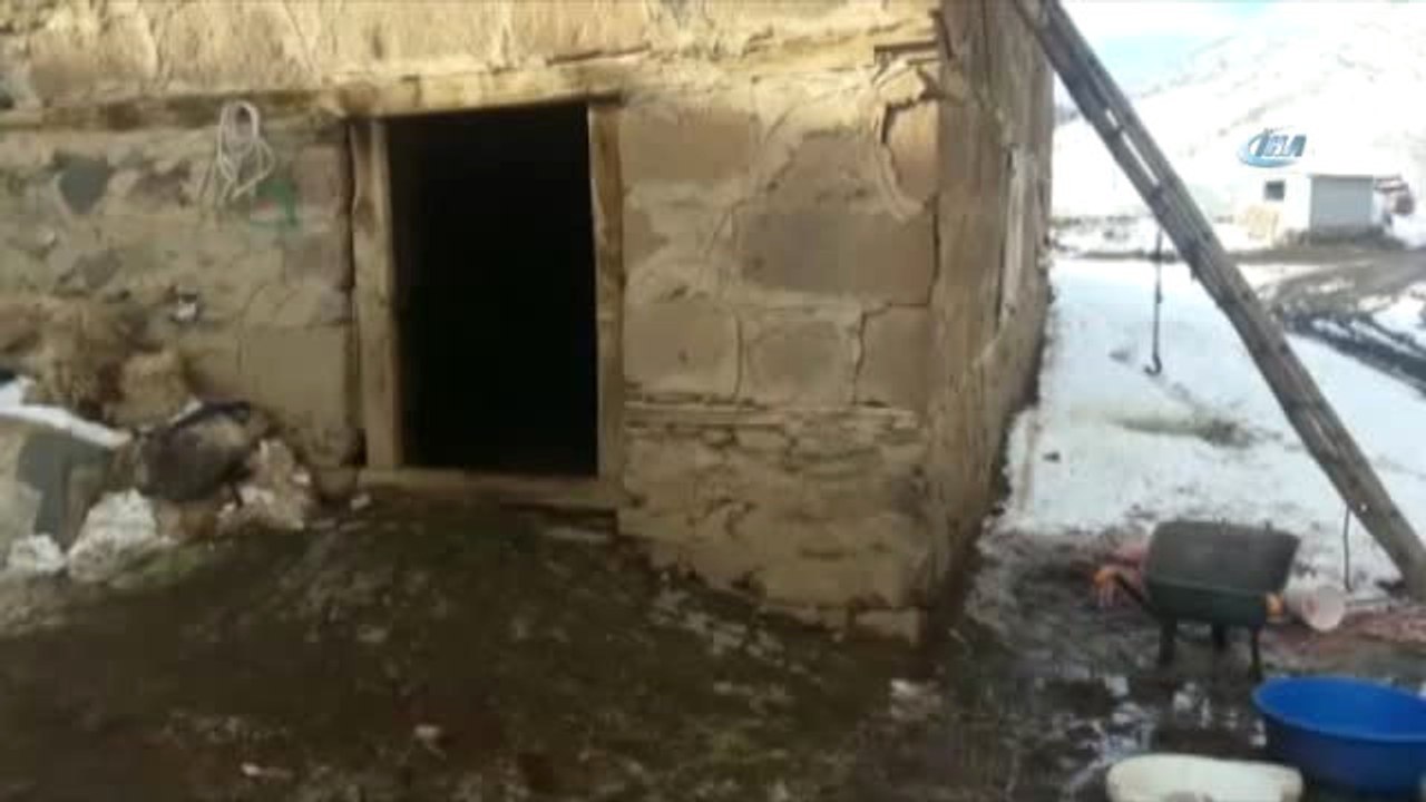 Bitlis'te 200 Koyun Telef Oldu