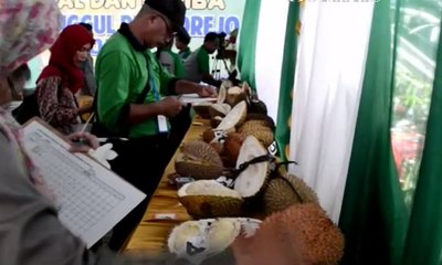 Petani Antusias Ikuti Lomba Durian Varietas Unggul