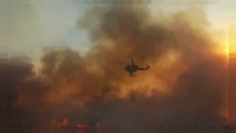 شاهد: النيران تلتهم غابات ولاية كاليفورنيا الأمريكية