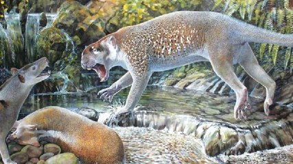 Avustralya'da 18 Milyon Yıl Önceki 'Marsupial Aslan' Türü Ortaya Çıktı