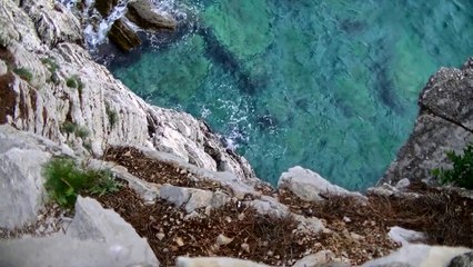 Cliff Diving - Big Cat Brandz, LLC