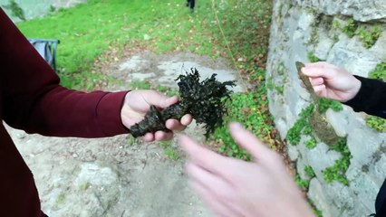 Pierre & Seb VS Wankil Studio - PART. 2