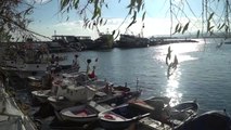 Karadeniz'de Hamsi, Marmara'da İstavrit Yüz Güldürüyor
