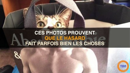 Ces photos prouvent que parfois, le hasard fait bien les choses