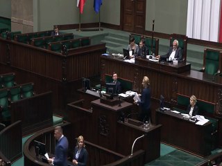 Joanna Scheuring-Wielgus - 22.11.17