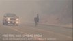 Fuite d'un cheval sur l'autoroute face aux incendies en Californie