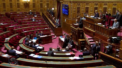 Examen des crédits de la Mission Outre-mer - Projet de loi de Finances pour 2018 - séance du 07 décembre 2018