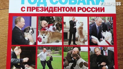 Russian Calendar Vladimir Putin With Dogs