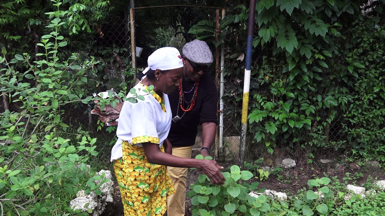 Malas hierbas Genre: Documental. Format: 4 x 5 + 1 of 30 min of prologue. Logline: A trip to different parts of the worl