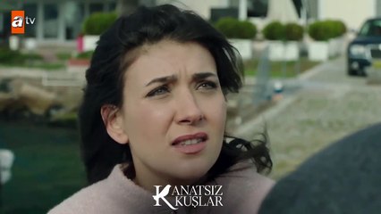Asya, Emre’den özür dileyecek mi? - Kanatsız Kuşlar 25.Bölüm