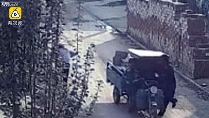 Man steals a woman's earrings right off her ears