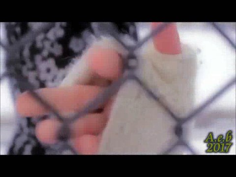 Korkularım Var Boran Baydar Şiirli Ahmet Emre Boran 2017